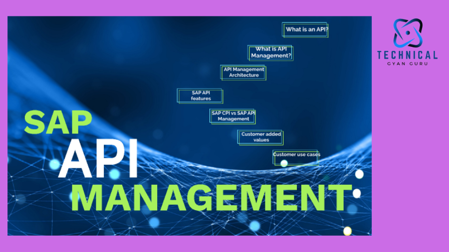 SAP API Management