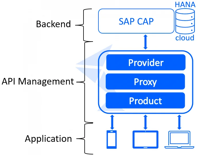 SAP API Management