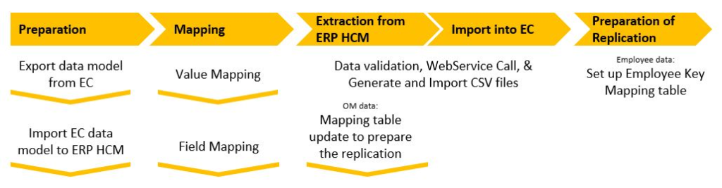 SAP Data Migration